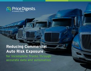 Reducing Auto Risk White Paper cover thumb